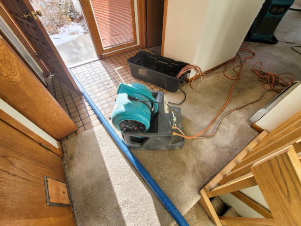 Best Residential water damage restoration  in Grand Mound, WA
