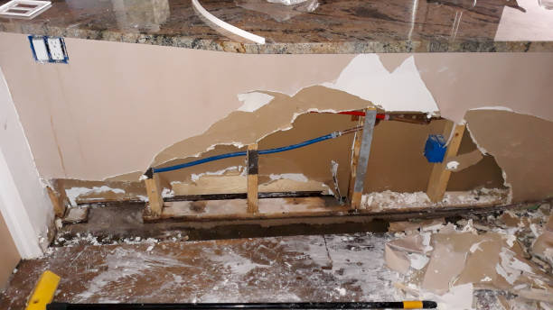 Best Basement water damage restoration  in Grand Mound, WA