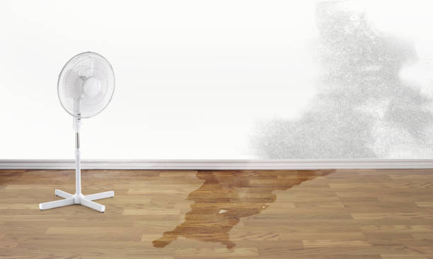 Best Water damage restoration services  in Grand Mound, WA