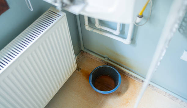 Best Carpet water damage restoration  in Grand Mound, WA