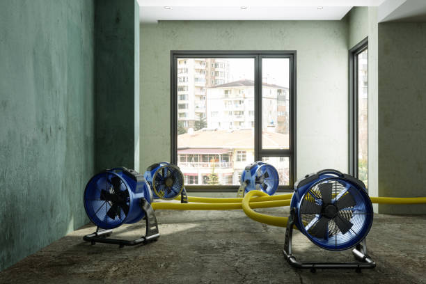 Best 24-hour water damage restoration  in Grand Mound, WA